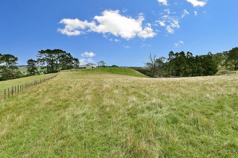 Photo of property in 88 Rapson Road, Kaukapakapa, 0871