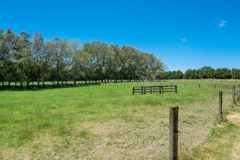 Photo of property in 857 Mclaren Falls Road, Omanawa, Tauranga, 3171