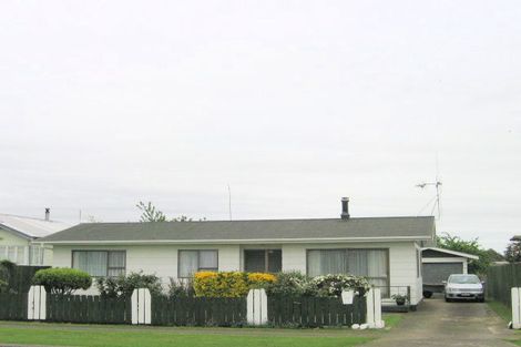 Photo of property in 12 Shoalhaven Street, Paeroa, 3600