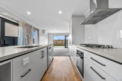 Photo of property in 27 Kakariki Lane, Rototuna North, Hamilton, 3210