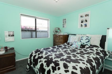 Photo of property in 29 Mitchell Place, Netherby, Ashburton, 7700