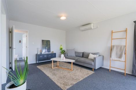 Photo of property in 45 Green Avenue, Levin, 5510