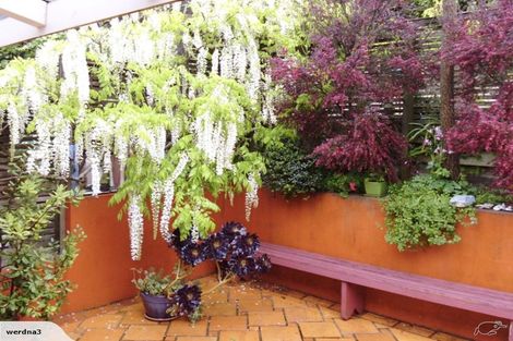 Photo of property in 11f Joan Street, Point Chevalier, Auckland, 1022