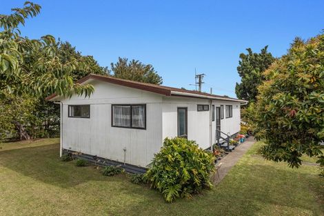Photo of property in 42 Union Street, Opotiki, 3122