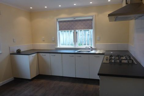 Photo of property in 51 Tauhinu Road, Miramar, Wellington, 6022