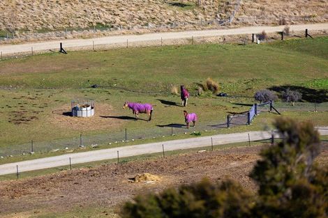 Photo of property in 24 Puninga Lane, Queensberry, Cromwell, 9383