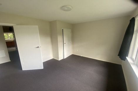 Photo of property in 99 Domain Terrace, Spreydon, Christchurch, 8024