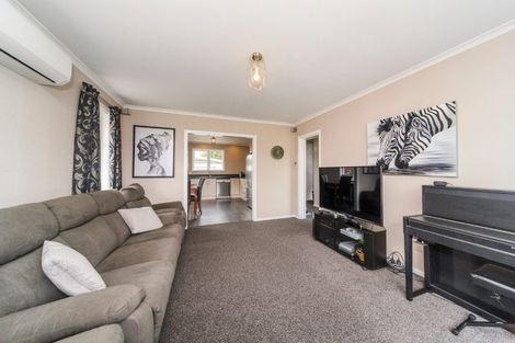 Photo of property in 16 Battersea Place, Roslyn, Palmerston North, 4414