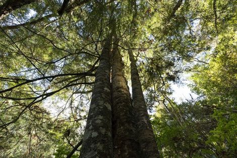 Photo of property in 49 Lamb Road, Parua Bay, Whangarei, 0174