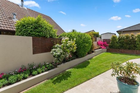 Photo of property in 64a Iles Road, Lynmore, Rotorua, 3010