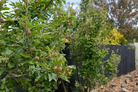 Photo of property in 163 Melbourne Street, South Dunedin, Dunedin, 9012