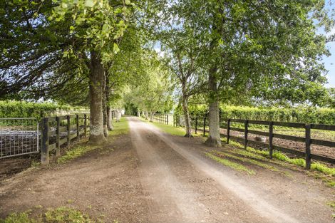 Photo of property in 388 Stanley Road, Te Aroha West, Te Aroha, 3391