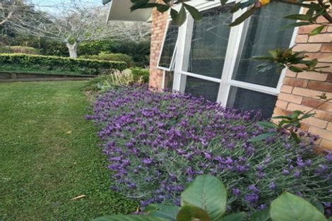 Photo of property in 11 Te Pahi River Drive, Paparoa, Maungaturoto, 0583