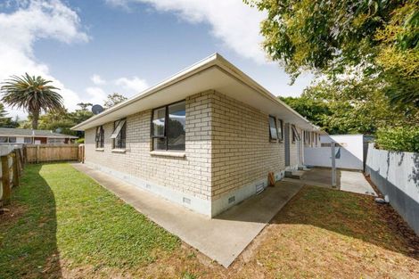 Photo of property in 155a Ruahine Street, Roslyn, Palmerston North, 4414
