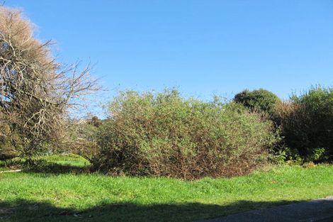 Photo of property in 1 Tramway Street, Ross, 7812