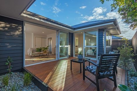 Photo of property in 17b Alfred Street, Roslyn, Palmerston North, 4414