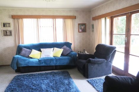 Photo of property in 12 Rata Street, Levin, 5510