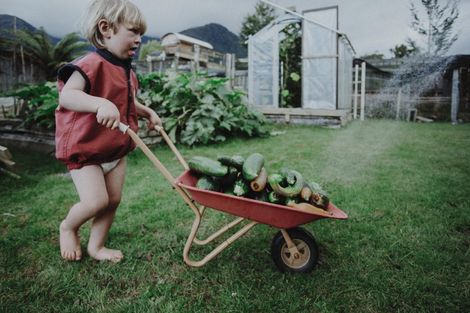 Photo of property in 17 Pekanga Drive, Fox Glacier, 7886
