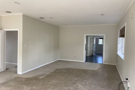 Photo of property in 17 Massey Avenue, Greenlane, Auckland, 1061