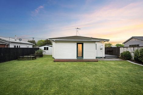 Photo of property in 135 Rimu Street, Maeroa, Hamilton, 3200