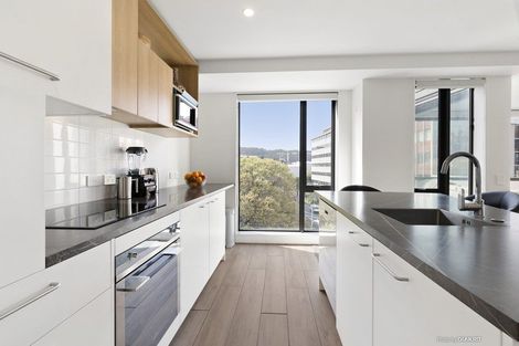 Photo of property in Vsp South, 301/168 Victoria Street, Te Aro, Wellington, 6011