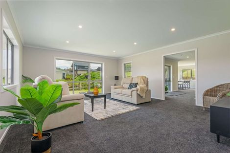 Photo of property in 13 Ingham Street, Halcombe, 4779
