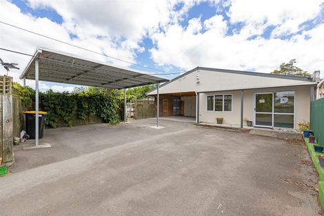 Photo of property in 180 Dixon Street, Masterton, 5810