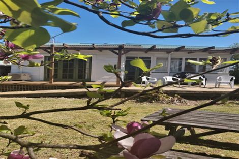 Photo of property in 13a Ann Street, Victoria, Rotorua, 3010