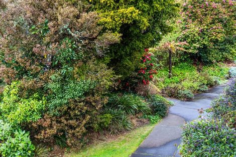 Photo of property in 7 Frederick Street, Two Mile Bay, Taupo, 3330