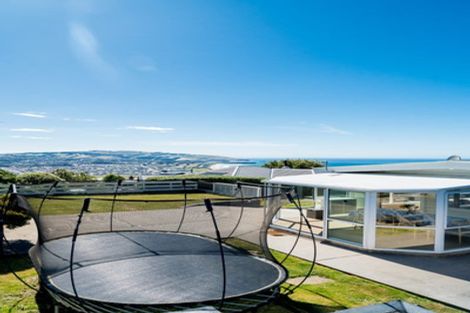 Photo of property in 46 Aberdeen Road, Saint Clair, Dunedin, 9012