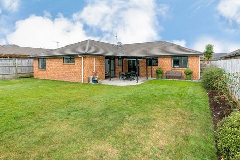 Photo of property in 17 Te Ironui Place, Huntington, Hamilton, 3210