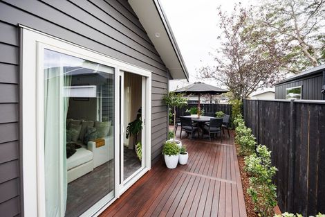 Photo of property in 15 Samuel Place, Terrace End, Palmerston North, 4410