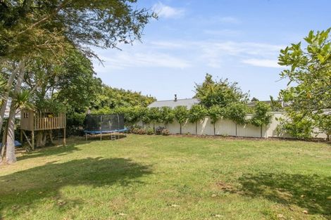 Photo of property in 22 St Albans Avenue, Mount Eden, Auckland, 1024