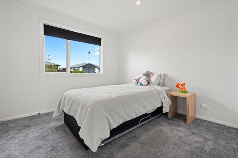 Photo of property in 49 Gimson Street, Solway, Masterton, 5810