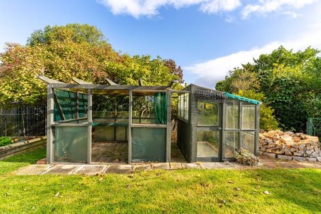 Photo of property in 38 Seaton Road, Portobello, Dunedin, 9014