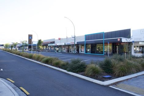 Photo of property in 91 Tongariro Street, Halswell, Christchurch, 8025