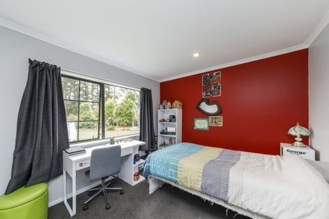 Photo of property in 397 Rowe Road, Rongotea, Palmerston North, 4476