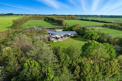 Photo of property in 247 Collins Road, Lincoln, Christchurch, 7674