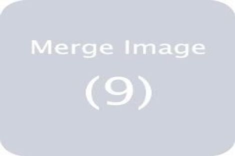 Photo of property in 13 Punga Road, Whenuapai, Auckland, 0618