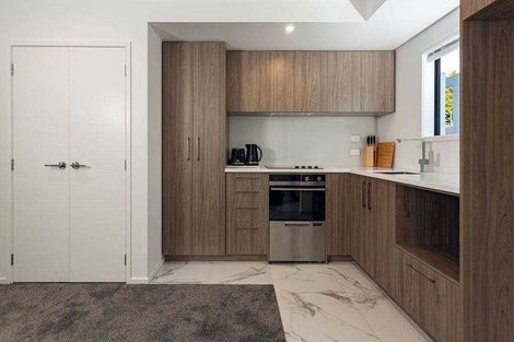 Photo of property in 33 Bings Lane, Richmond, Christchurch, 8013