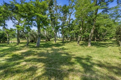 Photo of property in 1 Paratu Road, Richmond Downs, 3475