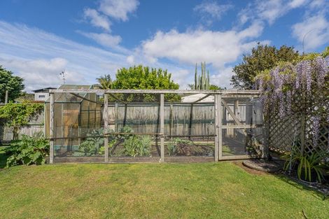 Photo of property in 36 Oyster Drive, Cooks Beach, Whitianga, 3591