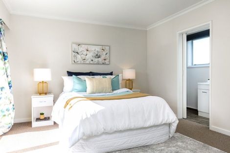 Photo of property in 118 Alfred Street, Blenheim, 7201