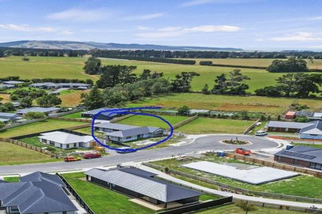 Photo of property in 19 Foster Place, Amberley, 7410