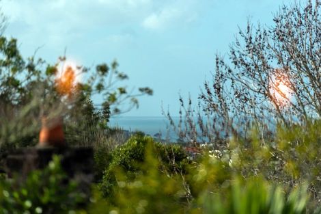 Photo of property in 127 Oaktree Avenue, Browns Bay, Auckland, 0630