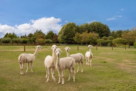 Photo of property in 5/105 Blakes Road, Prebbleton, 7604