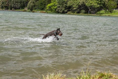 Photo of property in 65a Maxwells Road, Otumoetai, Tauranga, 3110