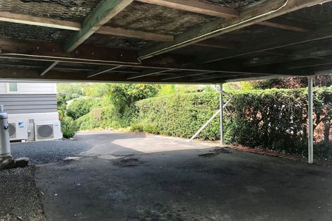 Photo of property in 73 Signal Hill Road, Opoho, Dunedin, 9010