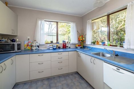 Photo of property in 4a Chamberlain Road, Masterton, 5810