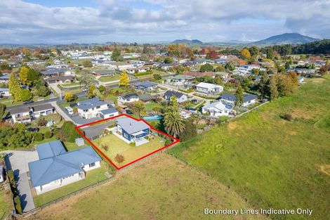 Photo of property in 22 Herbert Street, Kihikihi, Te Awamutu, 3800